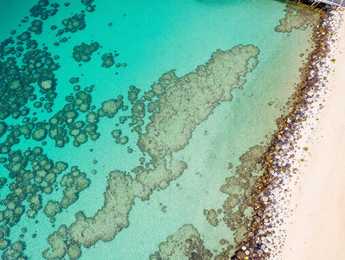 Marsa Alam czy Hurghada – gdzie na wakacje? Rafa, ceny i plaże w porównaniu - Featured image